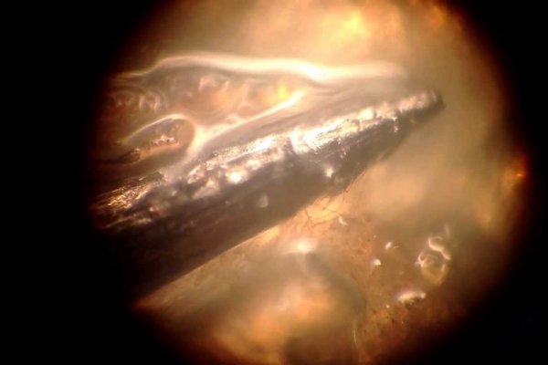 Krab9.at - Профессиональные платформа